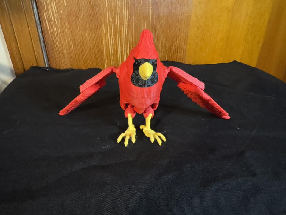 Cardinal, Large