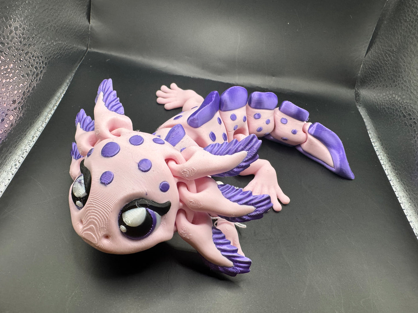 Axolotl