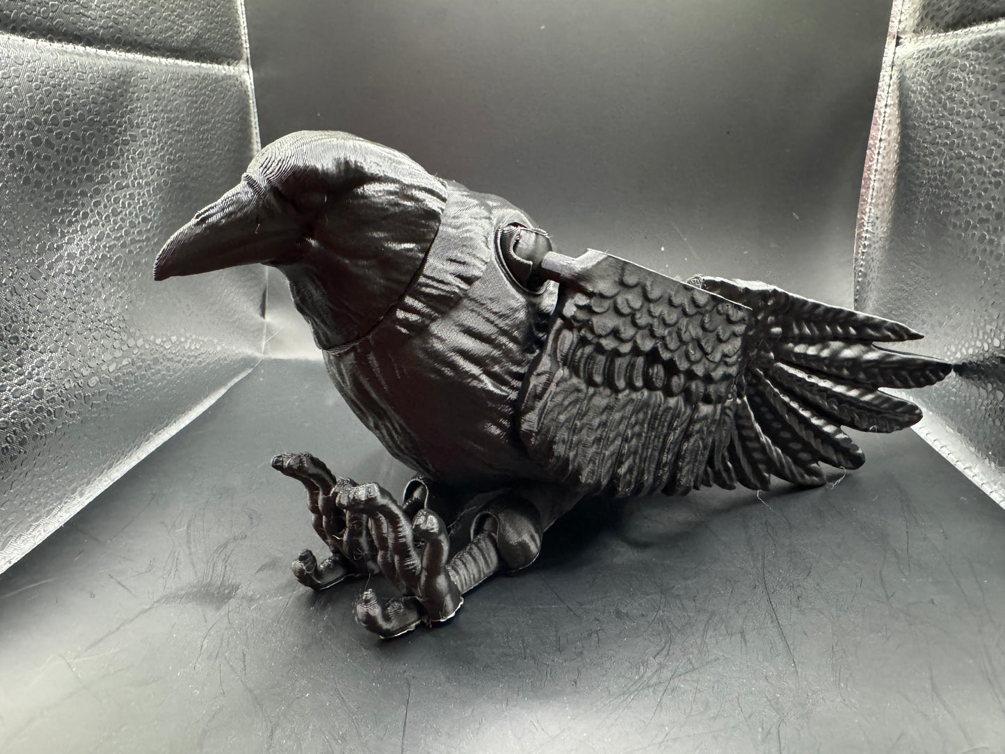 Raven, Large