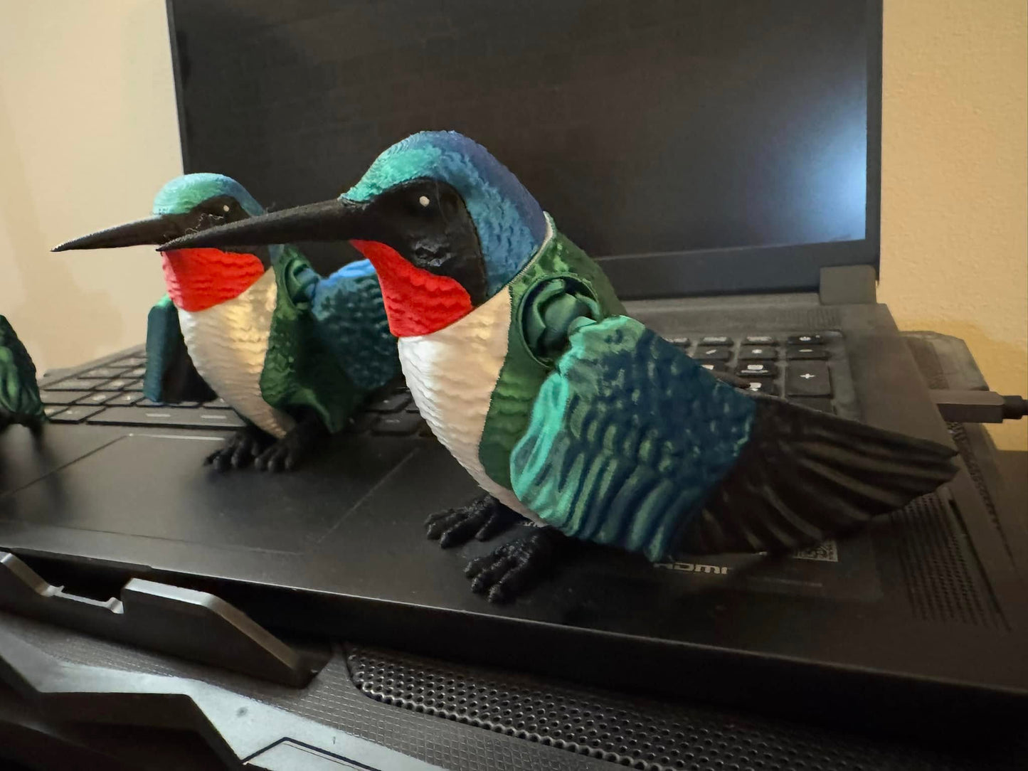 Humming Bird, Large
