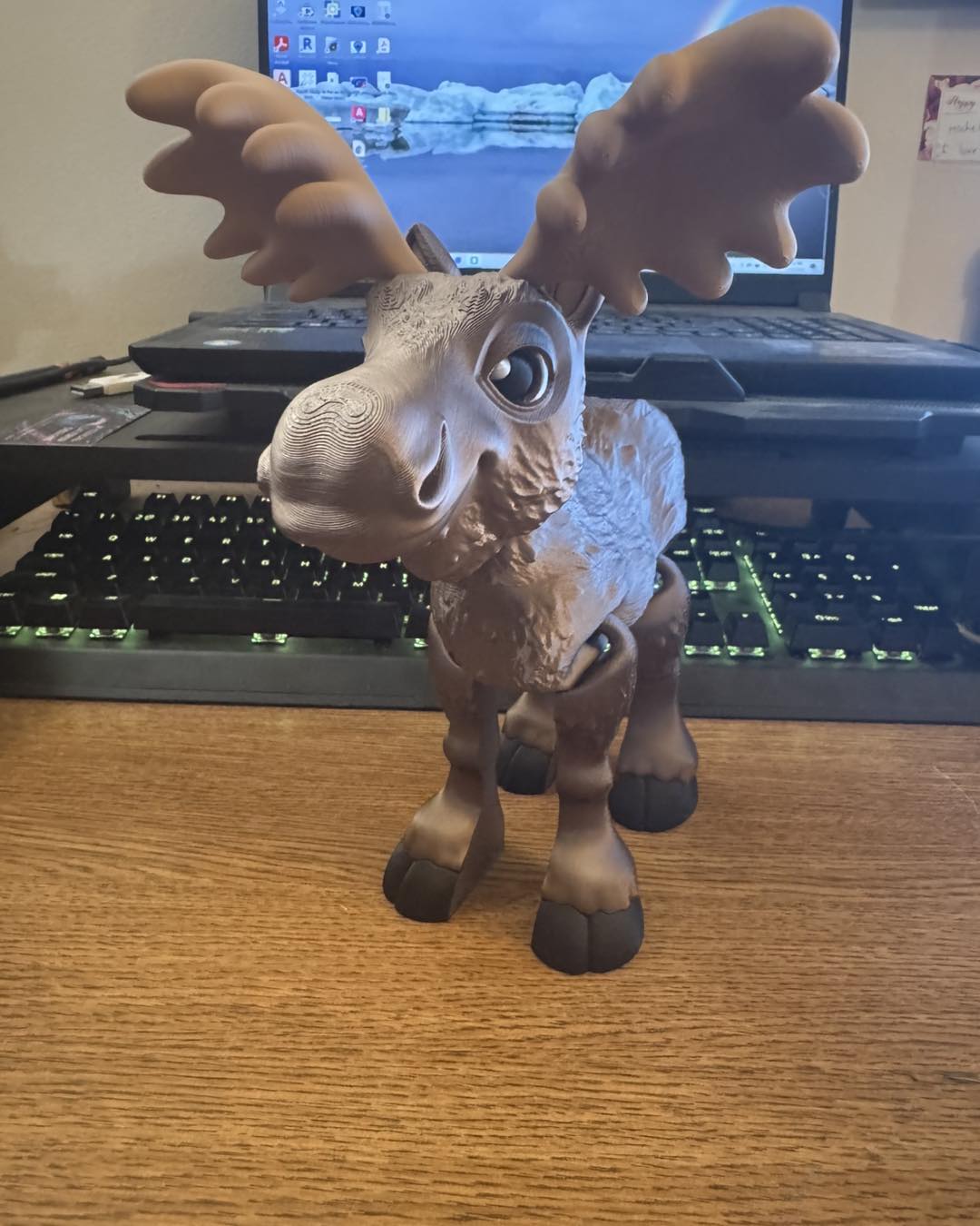 Moose