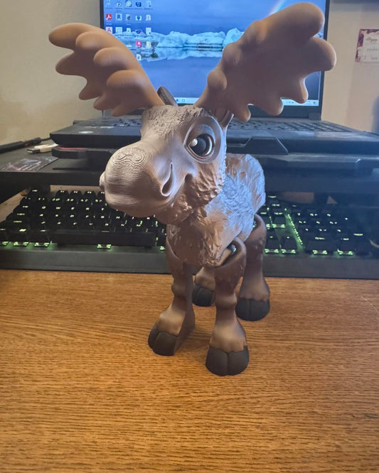 Moose