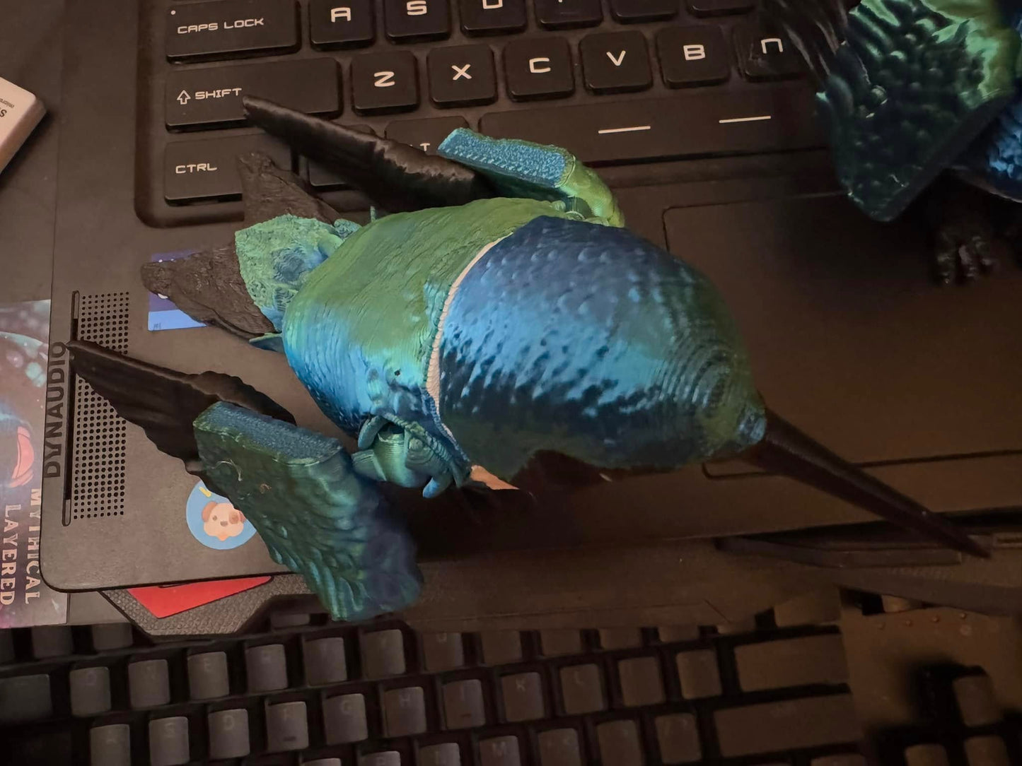 Humming Bird, Large