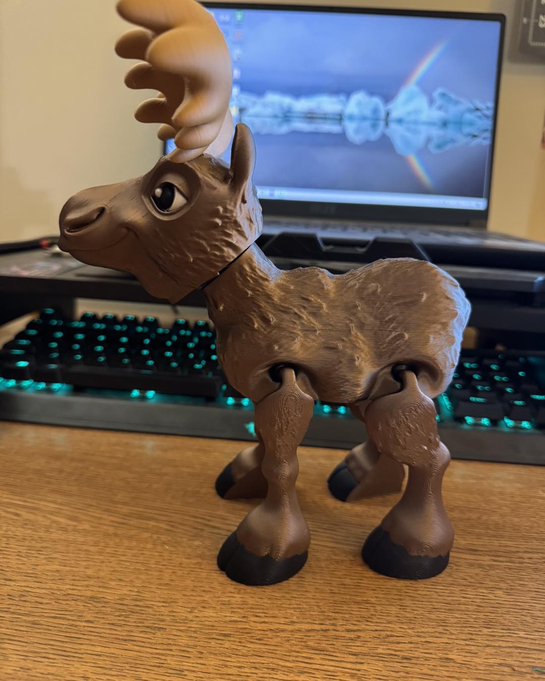 Moose