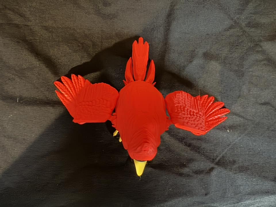 Cardinal, Large