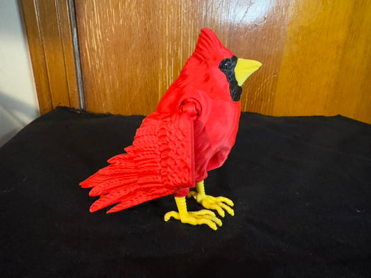 Cardinal, Large