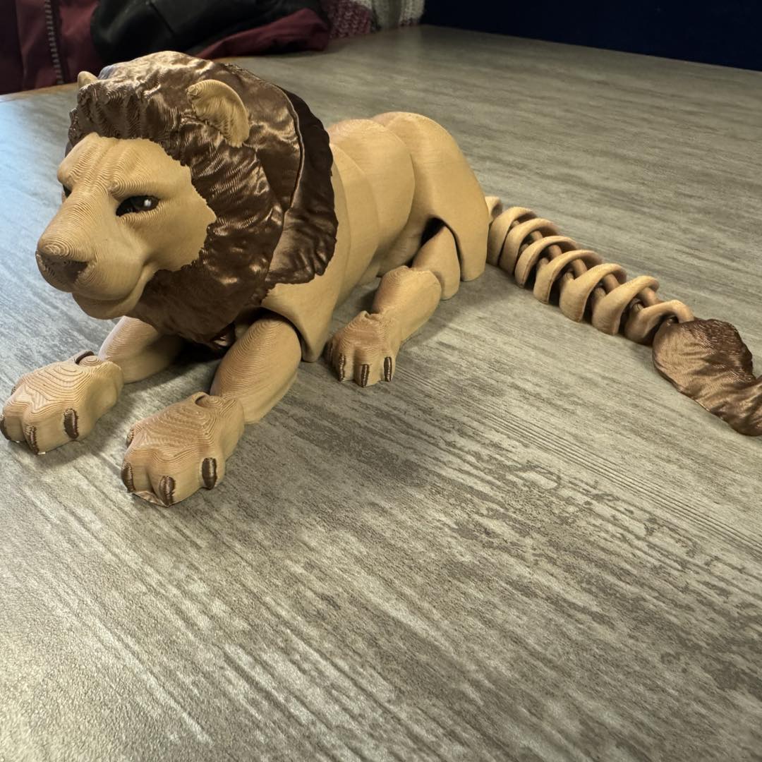 Lion, Large
