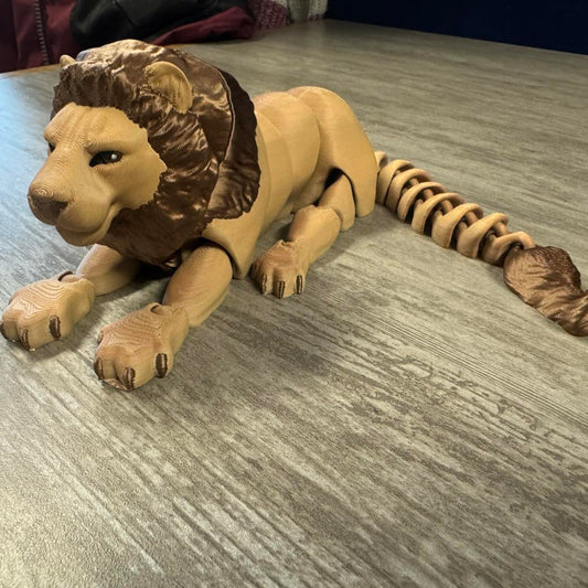 Lion, Large