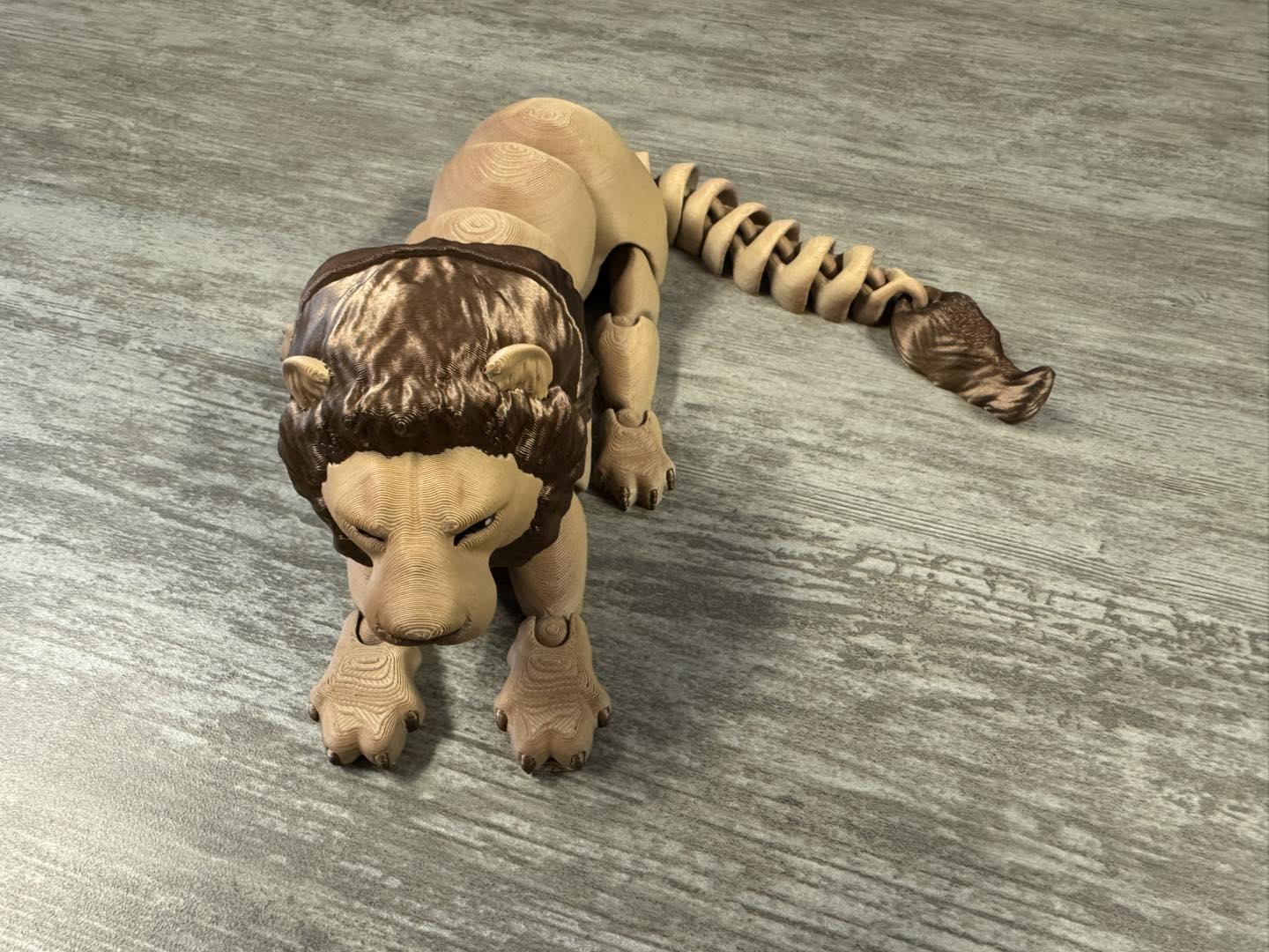 Lion, Large