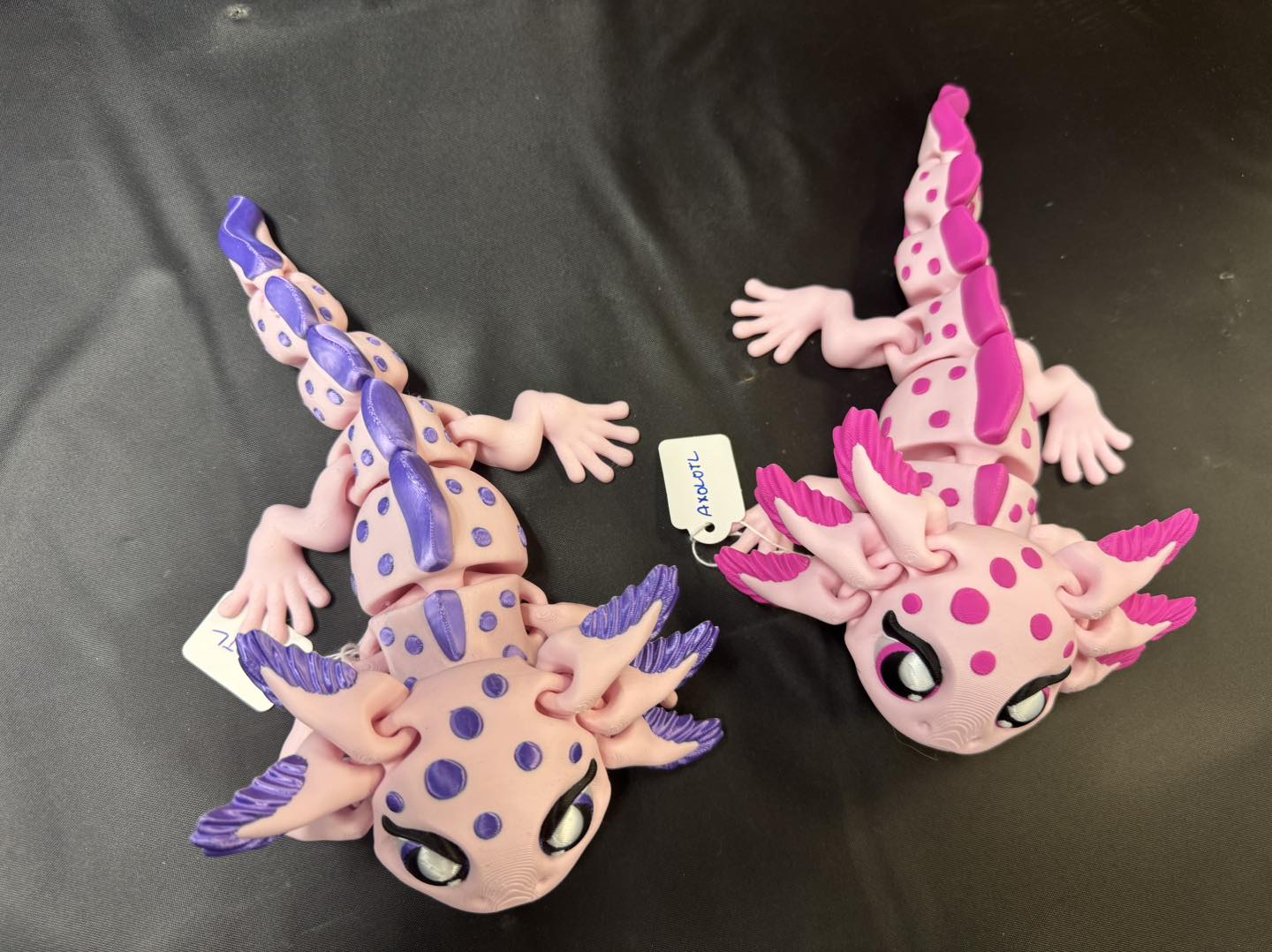 Axolotl