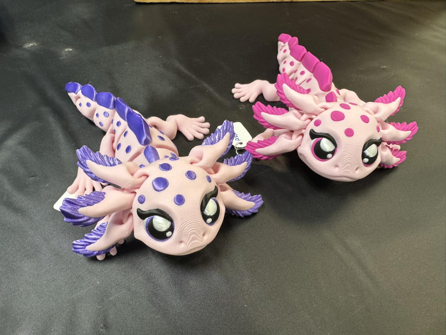 Axolotl