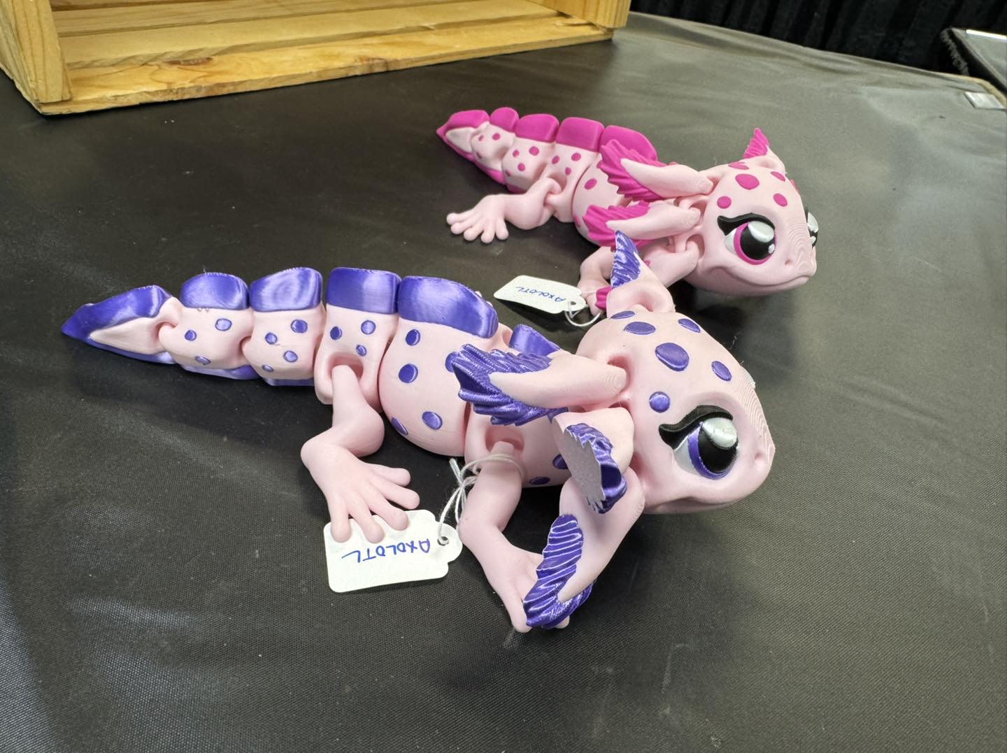 Axolotl