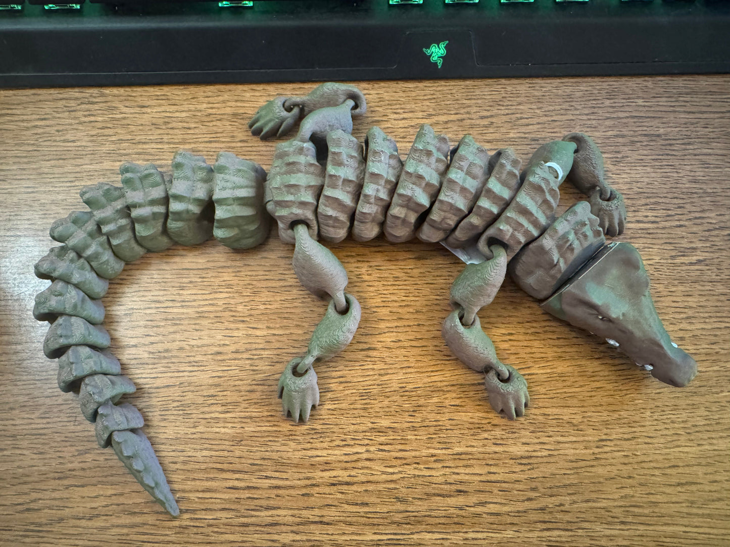 Alligator