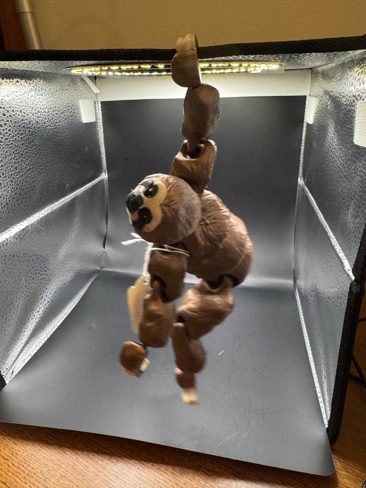 Sloth, Large