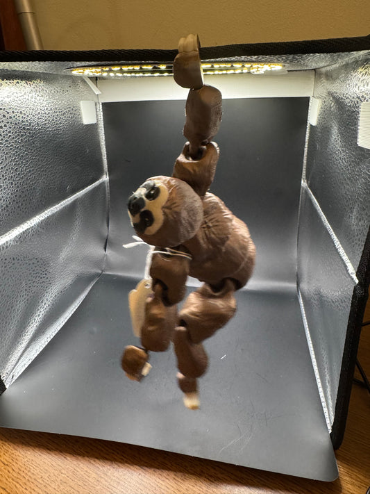 Sloth, Large