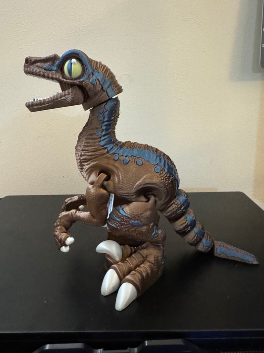 Raptor