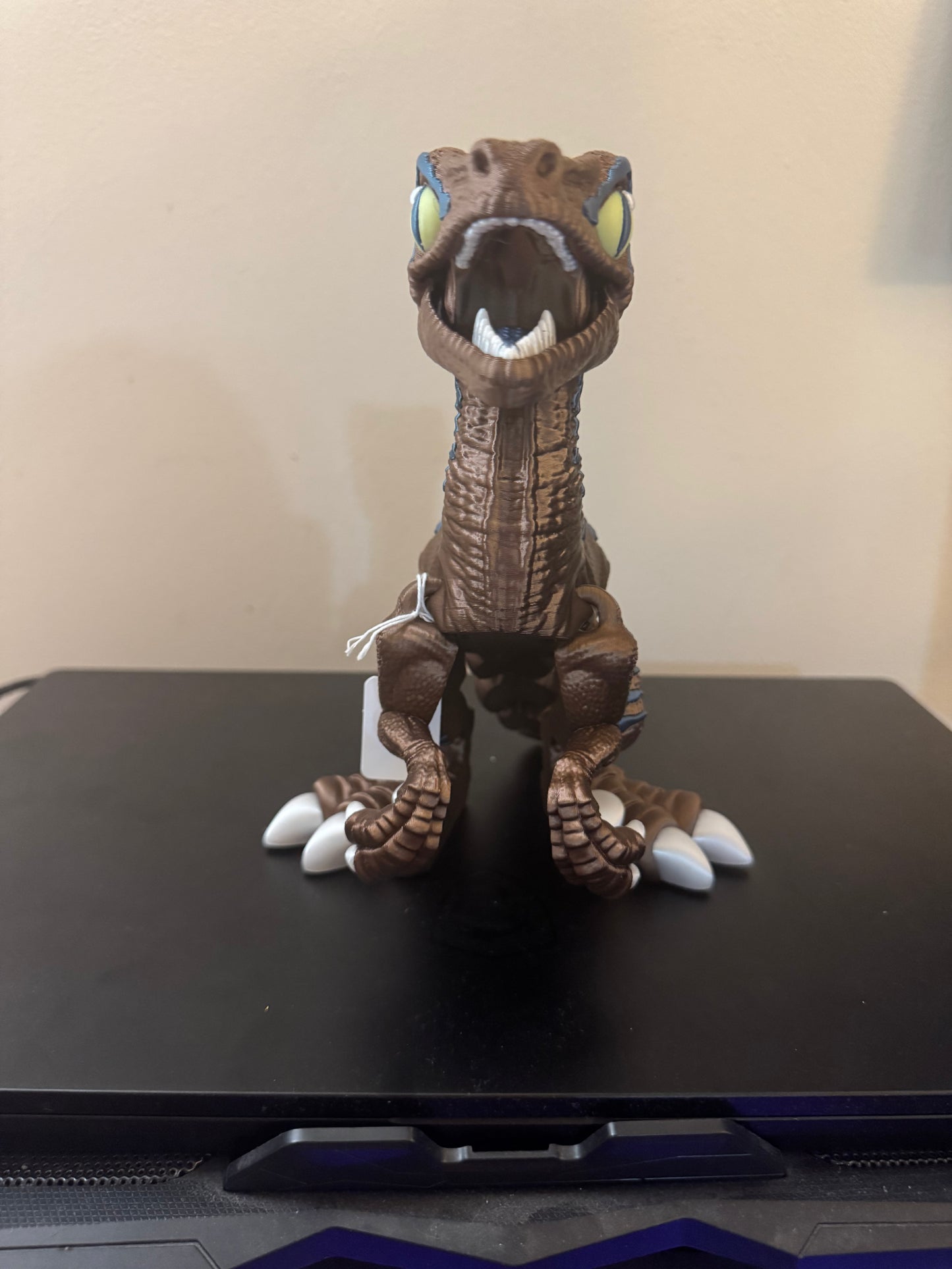 Raptor