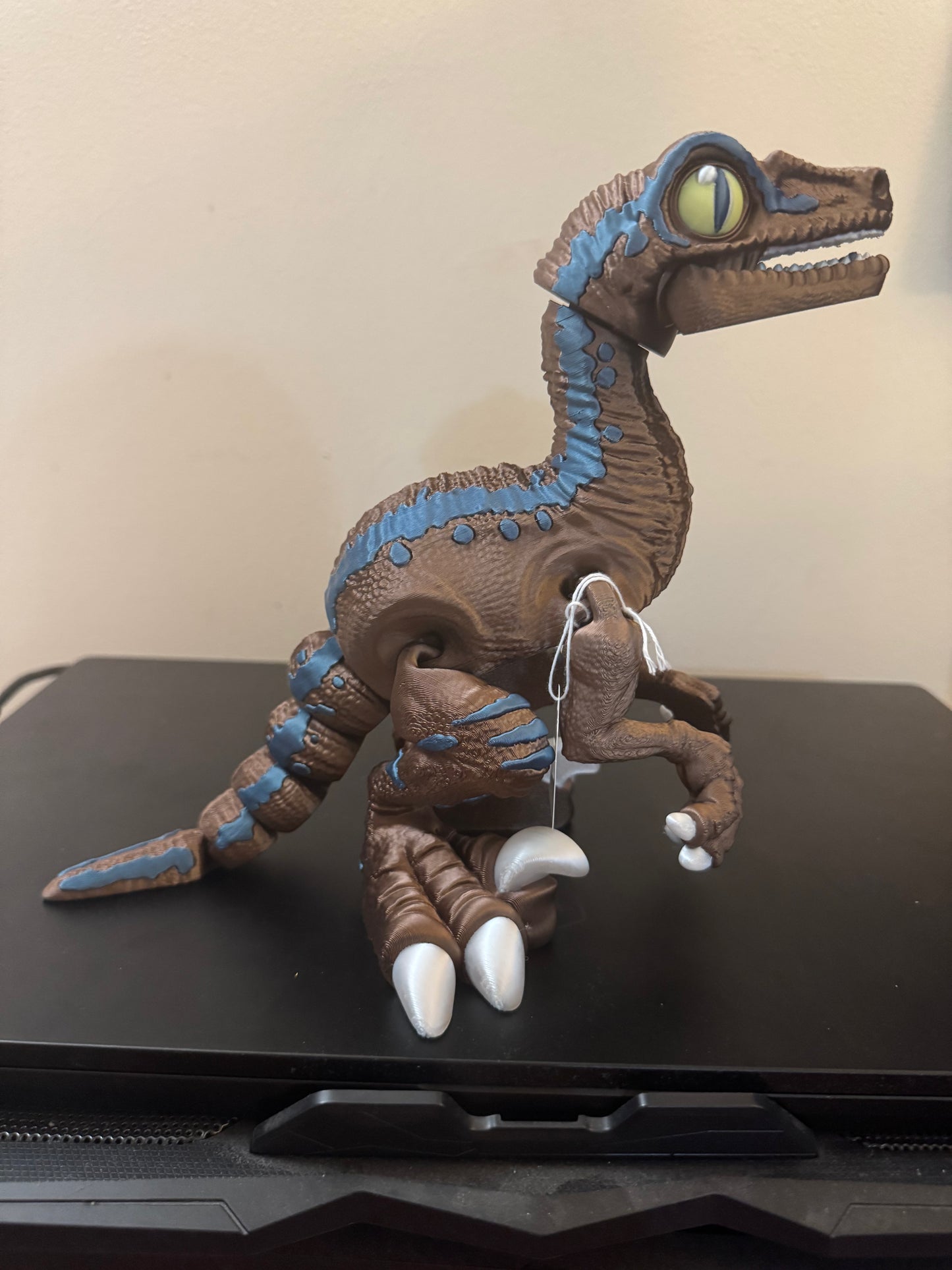 Raptor
