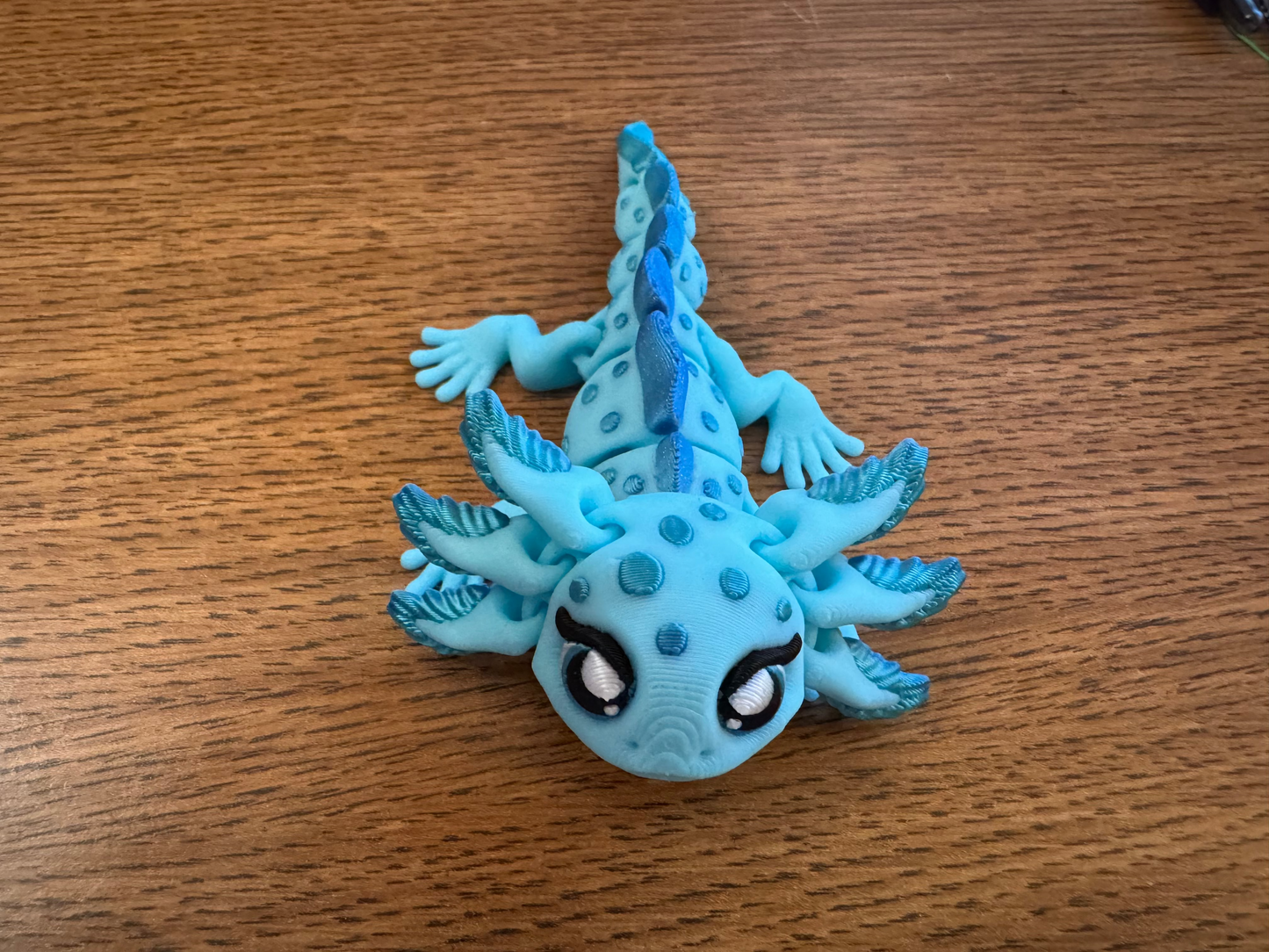 Axolotl