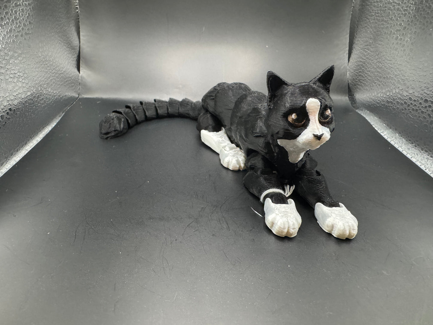 Cat, Large