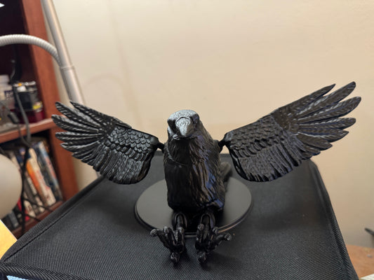 Raven, Large