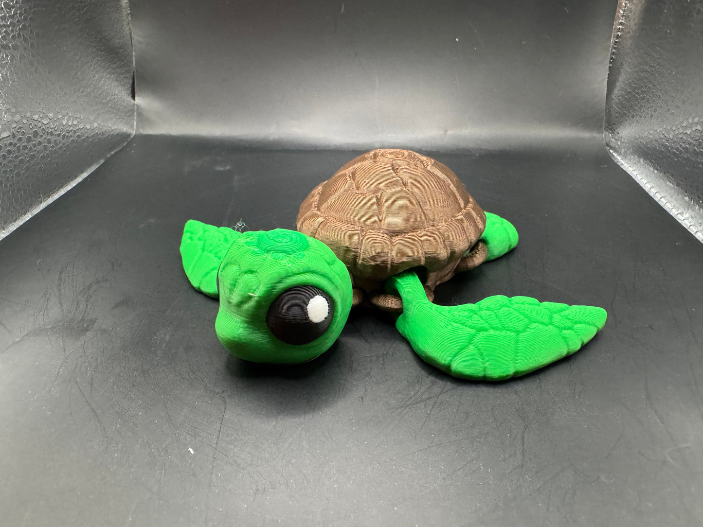 Sea Turtle