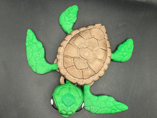 Sea Turtle