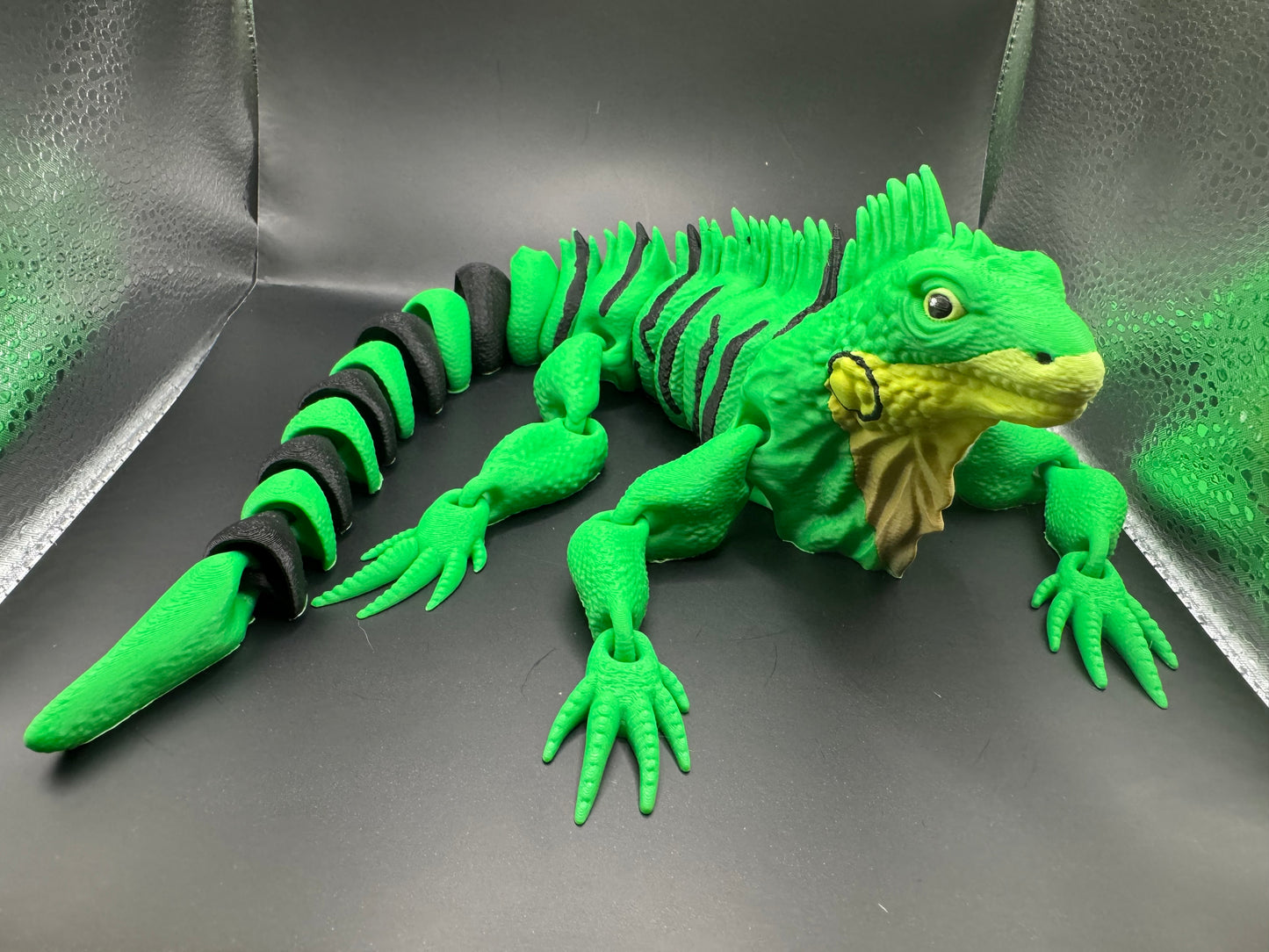 Iguana, Large