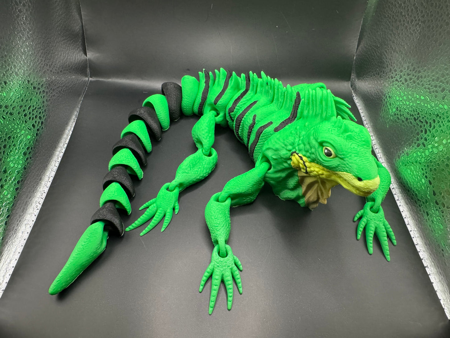 Iguana, Large