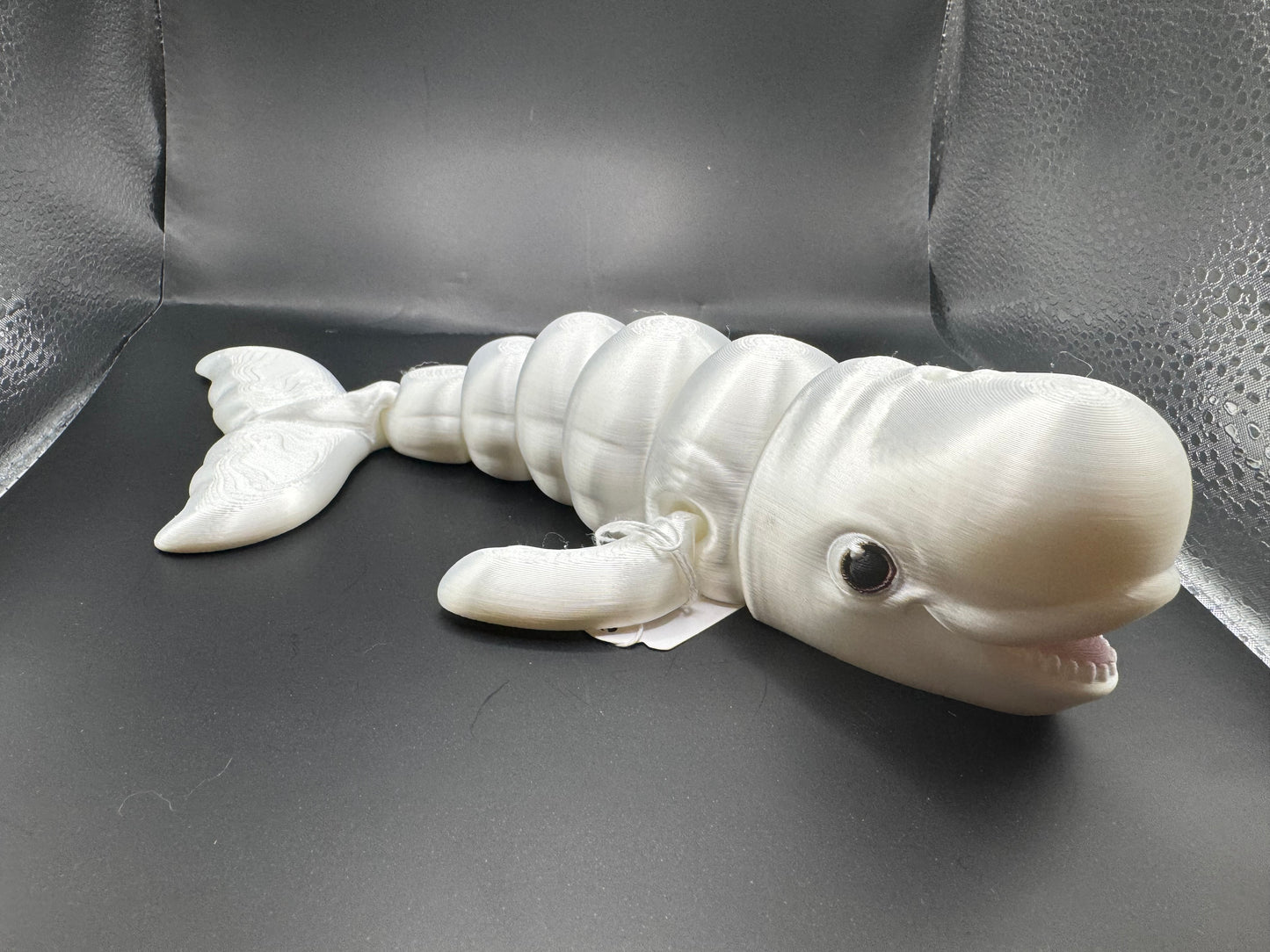 Beluga Whale