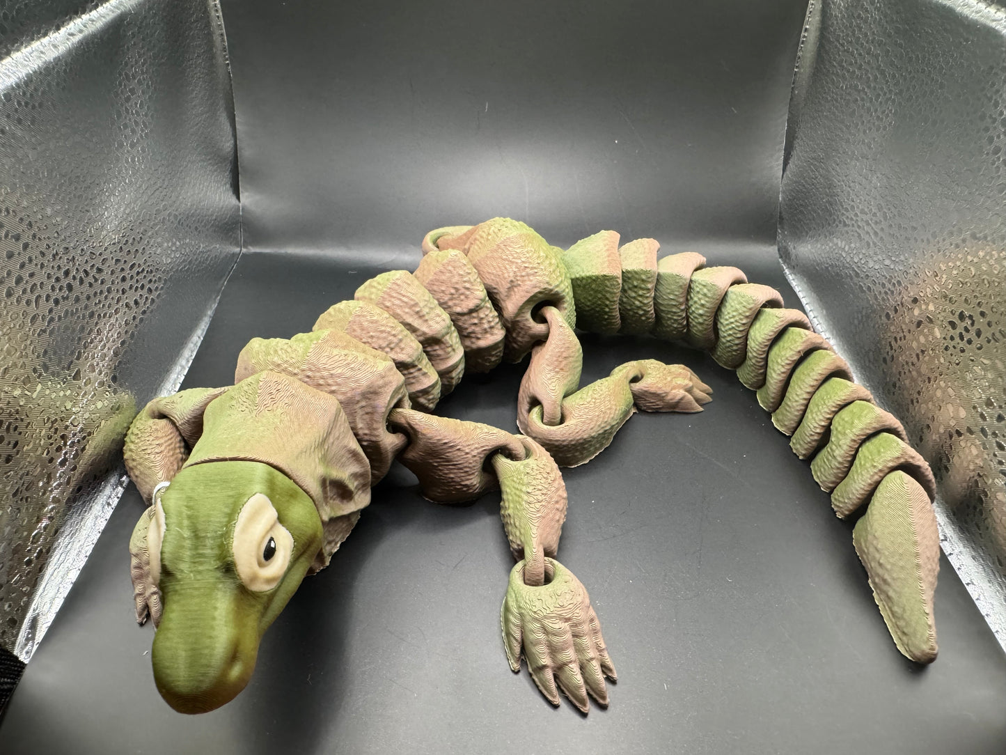 Komodo Dragon, Large
