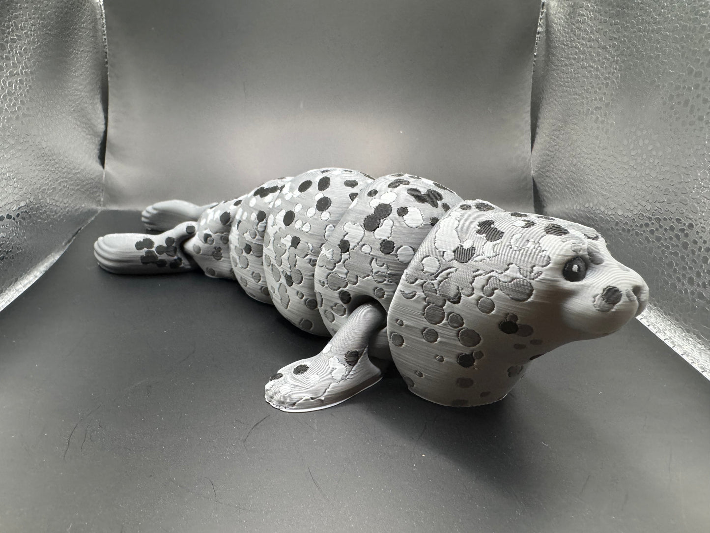 Spotted Seal, Large