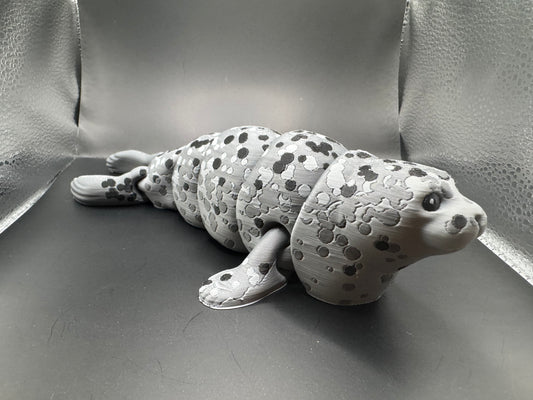 Spotted Seal, Large