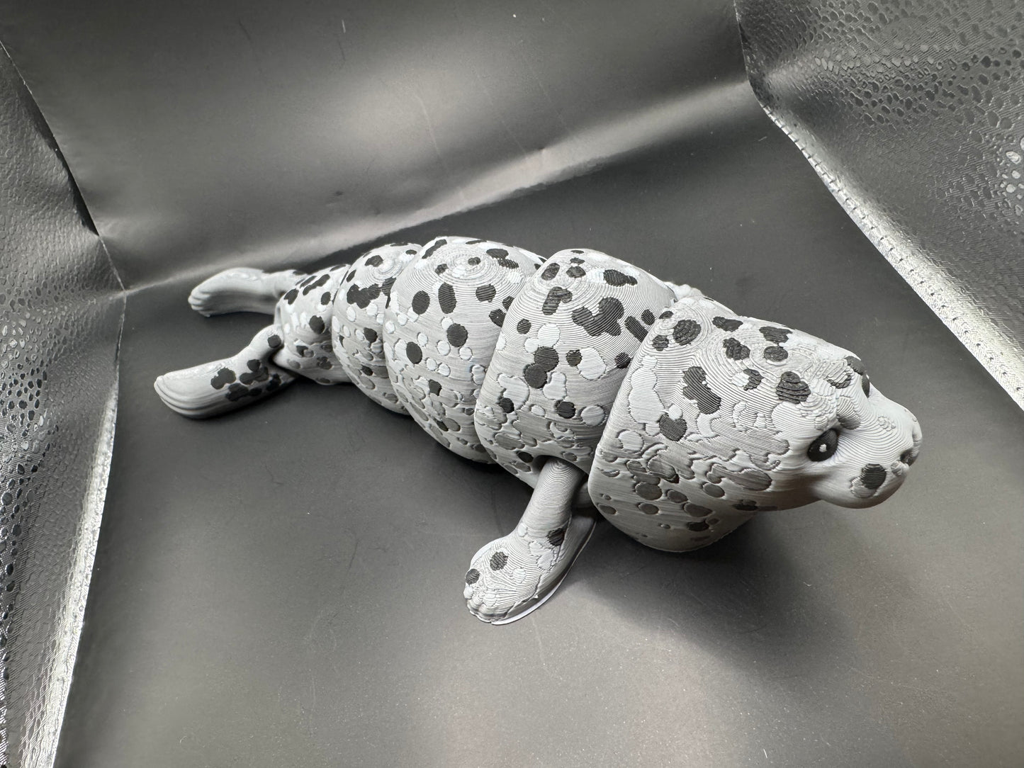 Spotted Seal, Large