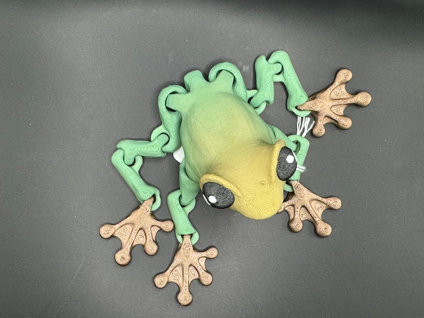 Cute Frog