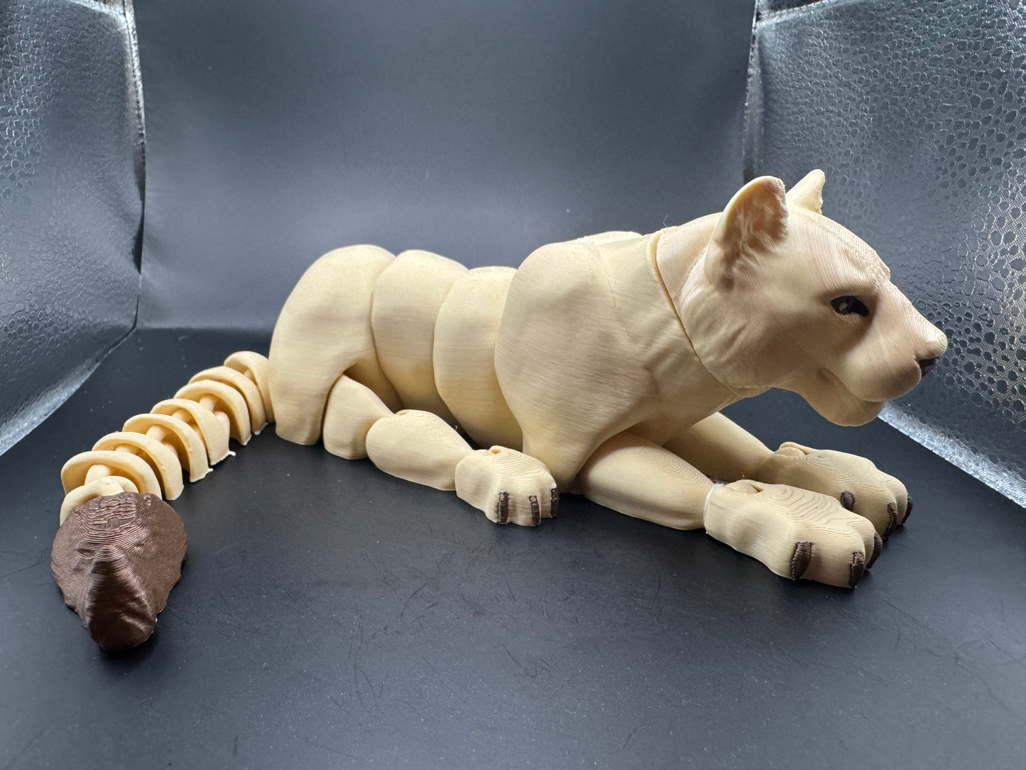 Lioness, Large