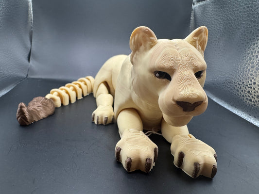 Lioness, Large