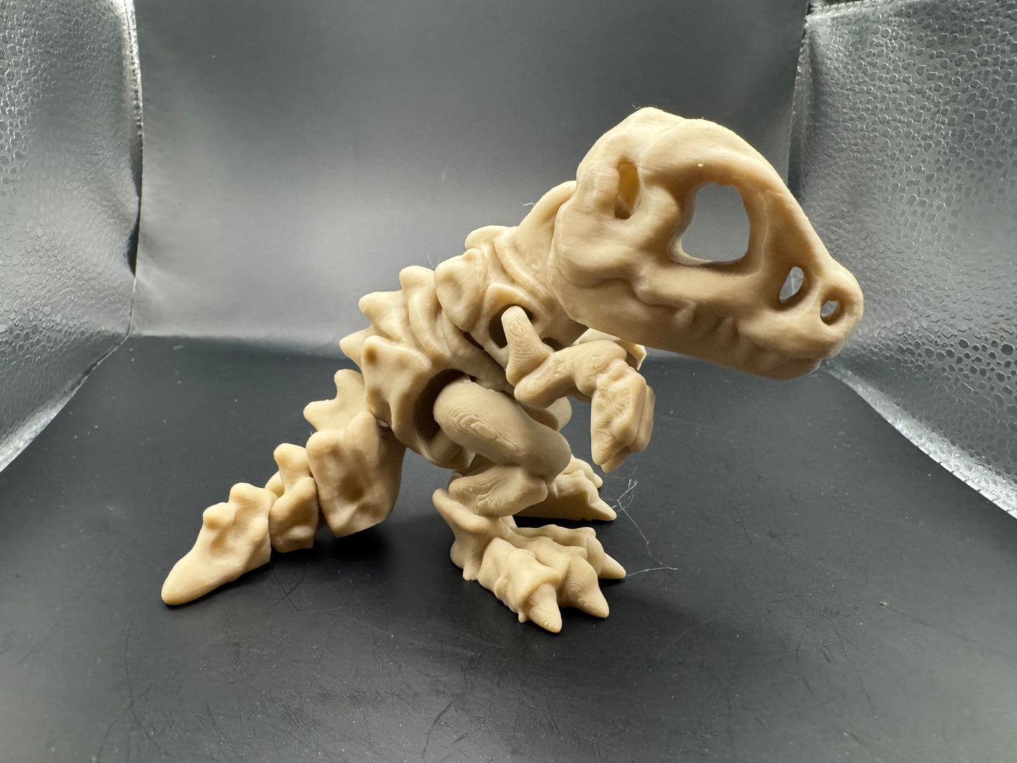 T-Rex Skeleton